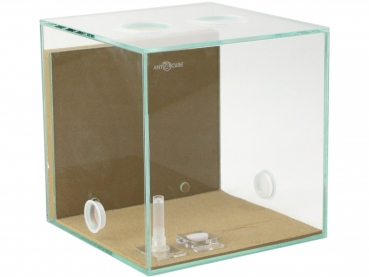 ANTCUBE Starter Set L - 20x20 - Combi